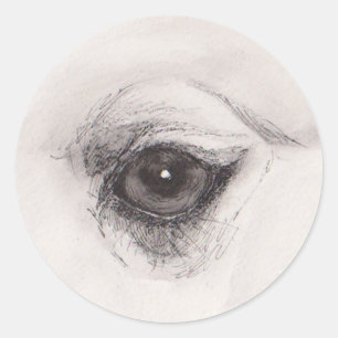 Eye of the Camel – Gaze Collection Classic Round Sticker