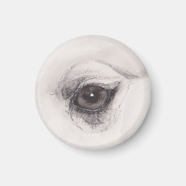 Eye of the Camel – Gaze Collection Magnet (Front)