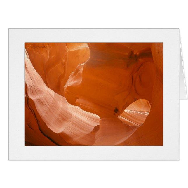 "Eye Of The Eagle" (Front Horizontal)