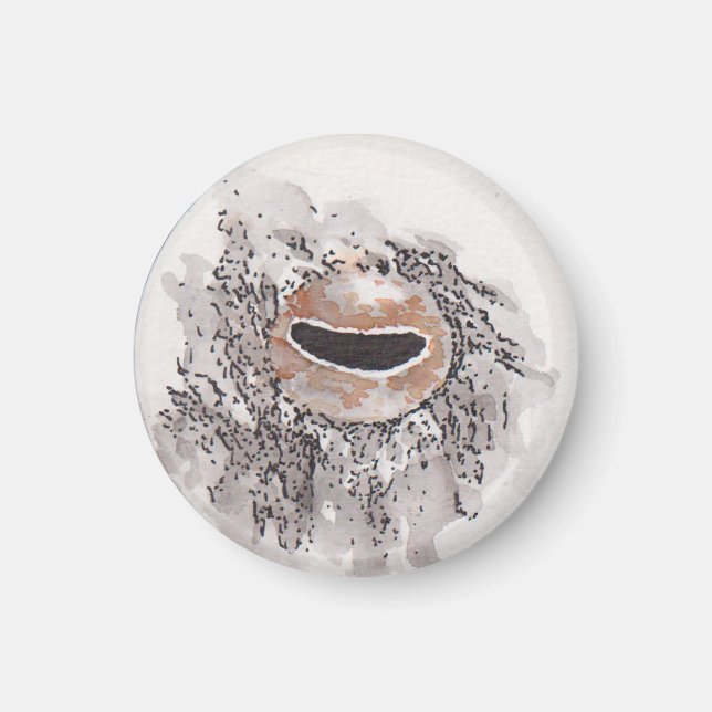 Eye of the octopus – Gaze Collection Magnet (Front)