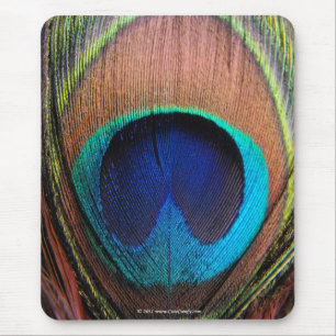 Eye of the Peacock Feather Close-Up Mouse Pad