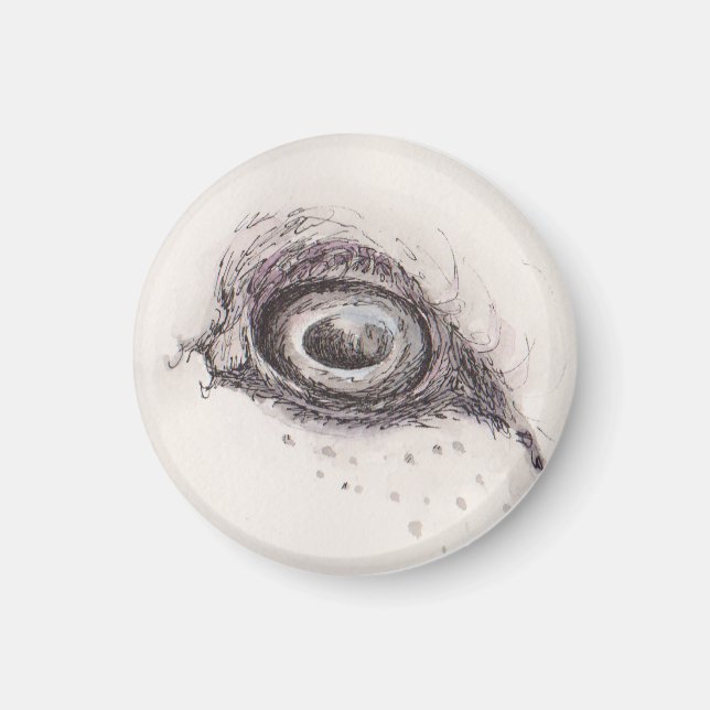 Eye of the sheep – Gaze Collection Magnet (Front)