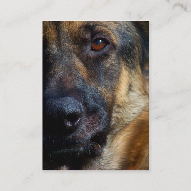 Eye of the Shepherd Business Cards (Front)