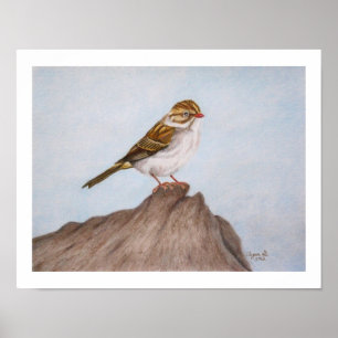 Eye on the Sparrow 11"x14" Print