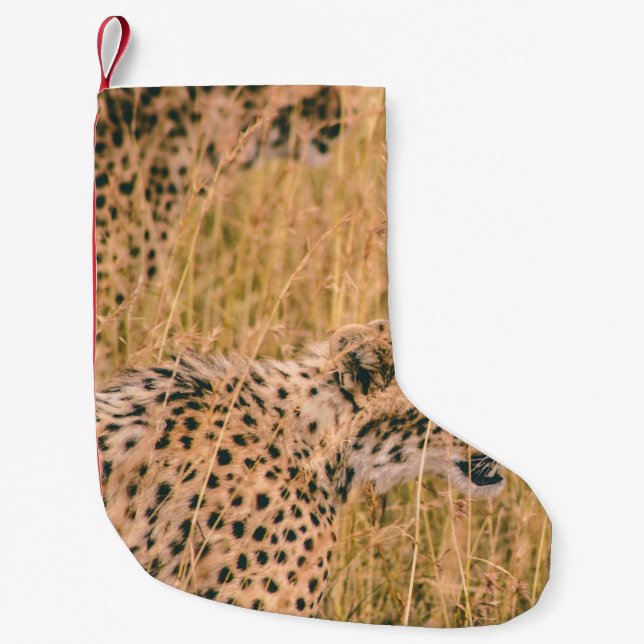 EYE ON THE TARGET - LEOPARD ANIMALS PHOTO SMALL CHRISTMAS STOCKING (Front)