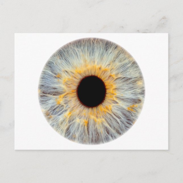 Eye Postcard (Front)