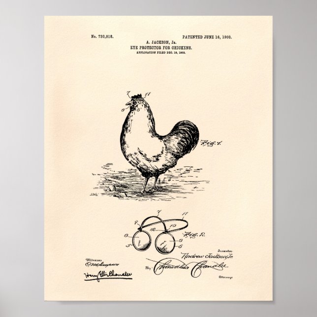 Eye Protector Chickens 1903 Patent Art Old Peper Poster (Front)