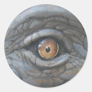 Eye see_ classic round sticker