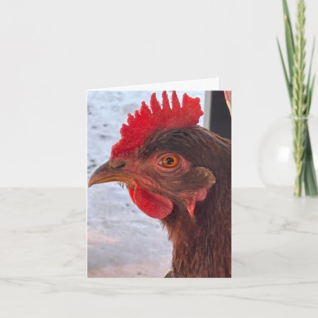 Eye See You Chicken Head Close-Up Blank Inside Card (Front)