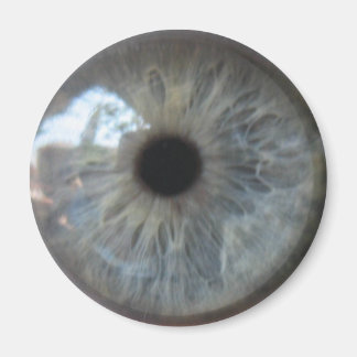 Eye See You Fridge Magnet