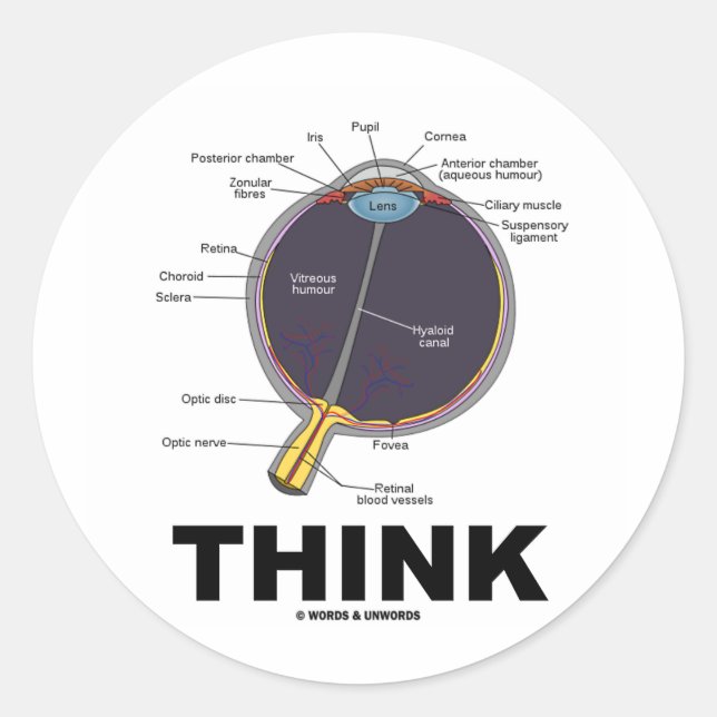 Eye Think (I Think Anatomical Eye Humour) Classic Round Sticker (Front)
