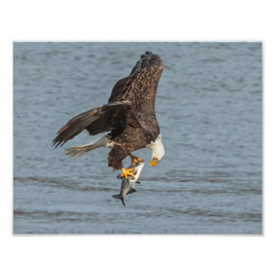 Eye To Eye Photo Print