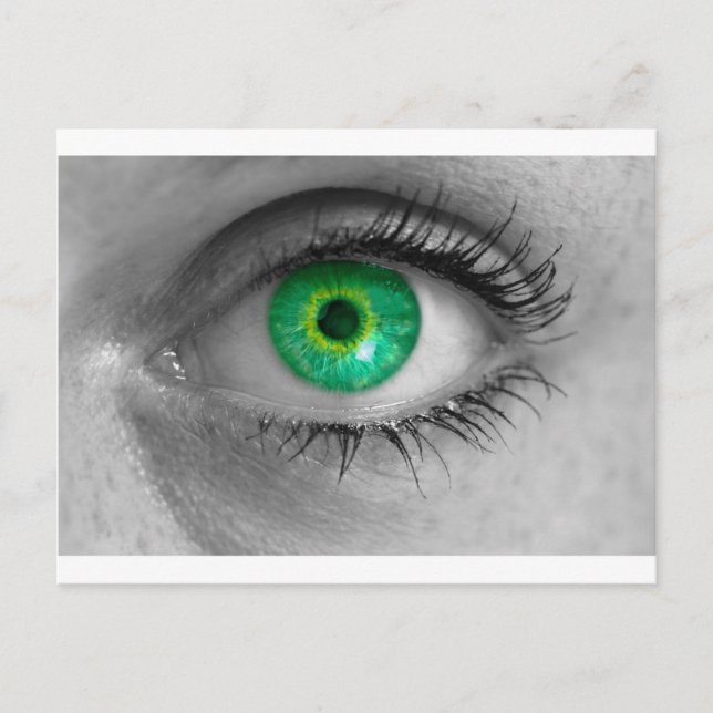 Eye with green iris looks at viewer concept macro postcard (Front)