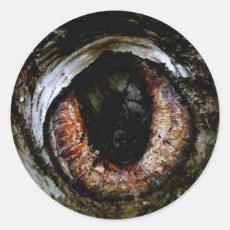 Eyeball Sticker