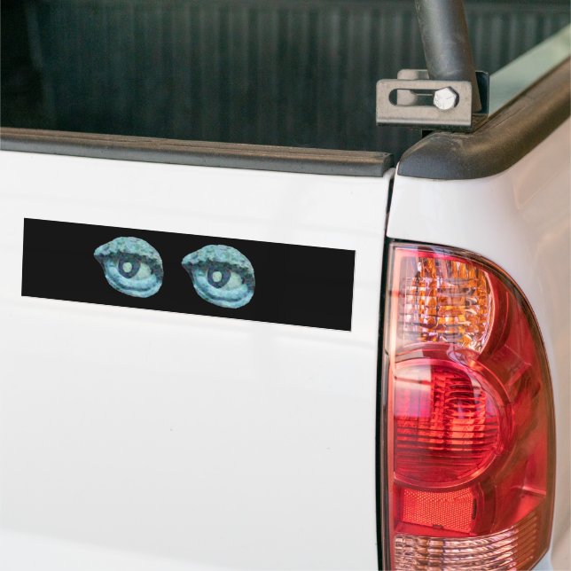EYEBALLS BUMPER STICKER (On Truck)