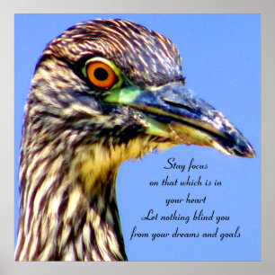 Eyes have it_ poster