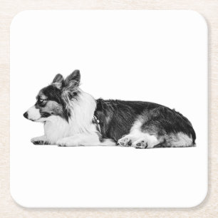 Eyes in the Candlelight Square Paper Coaster