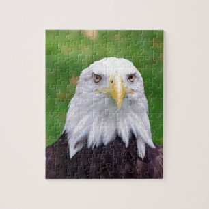 Eyes of a Bald Eagle Jigsaw Puzzle