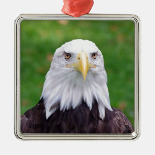 Eyes of a Bald Eagle Metal Tree Decoration