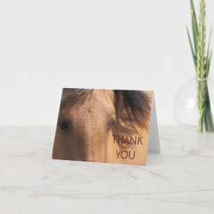 Eyes of a Brown Horse Thank You Note Card