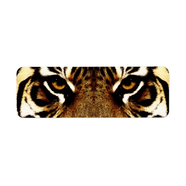 Eyes of a Tiger (Front)