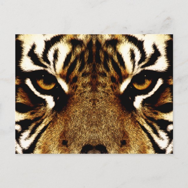 Eyes of a Tiger Postcard (Front)