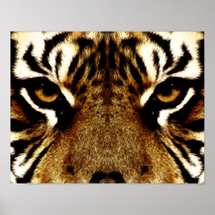 Eyes of a Tiger Poster