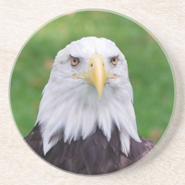Eyes of an Eagle Coaster (Front)