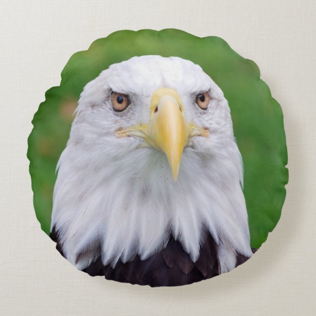 Eyes of an Eagle Round Cushion (Front)