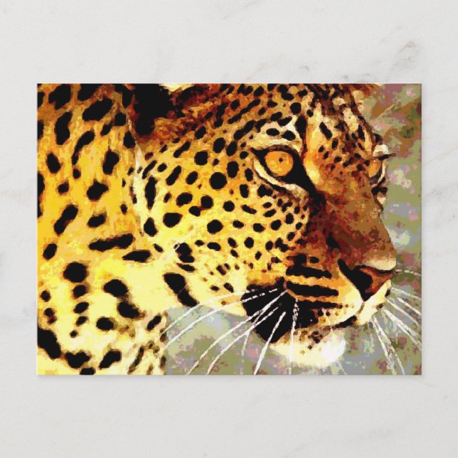 Eyes of Leopard Postcard (Front)