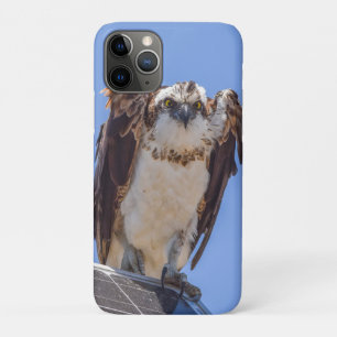 Eyes of the Osprey Case-Mate iPhone Case