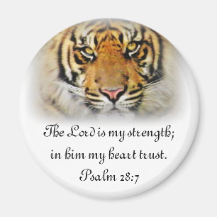 Eyes of the Tiger,Love_ Magnet