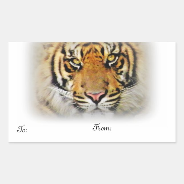Eyes of the Tiger,Love_ Rectangular Sticker (Front)