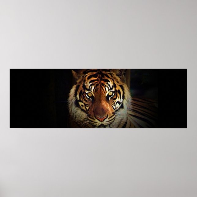 Eyes of Tiger in Shadow Door Poster Print (Front)