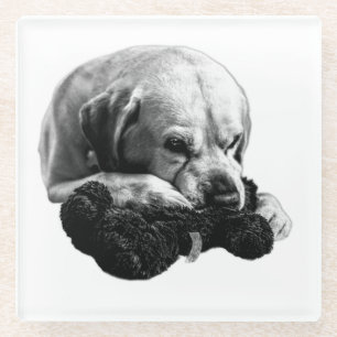 Eyes on the Prize Glass Coaster