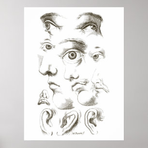 Eyes, Profile, Ears drawing, 17th century, vintage Poster