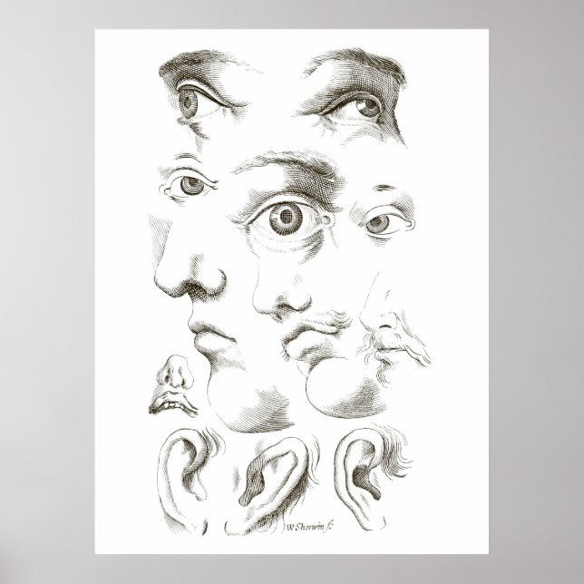 Eyes, Profile, Ears drawing, 17th century, vintage Poster (Front)