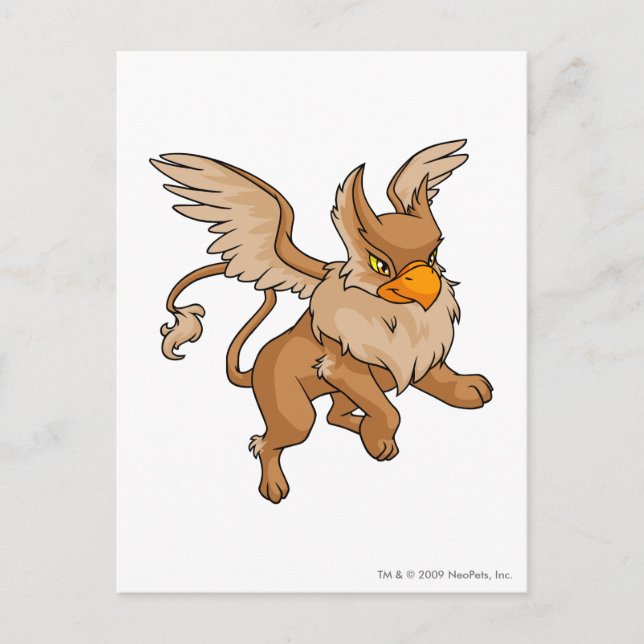 Eyrie Brown Postcard (Front)