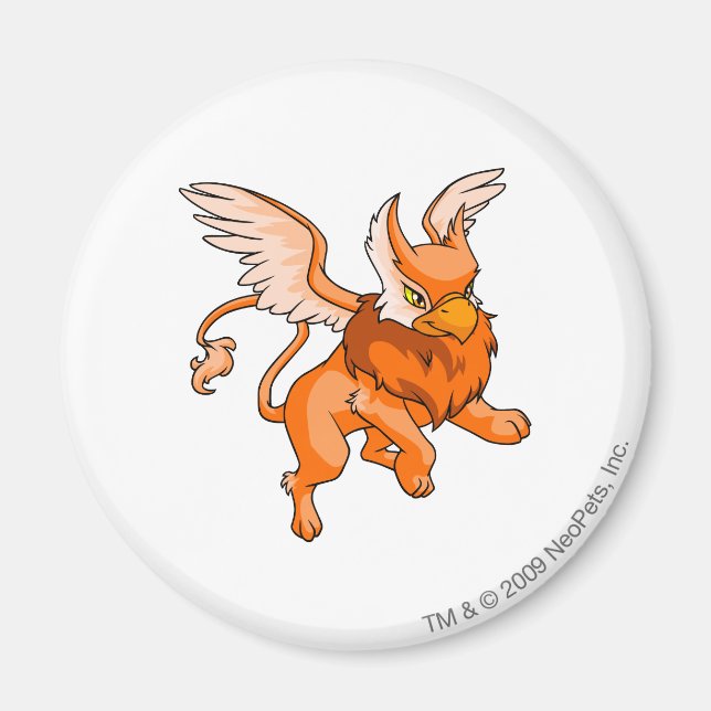 Eyrie Orange Magnet (Front)