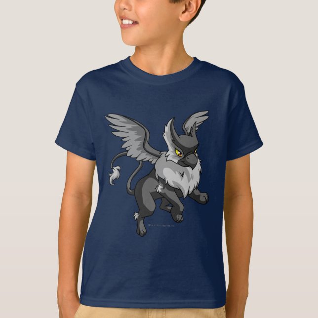 Eyrie Shadow T-Shirt (Front)