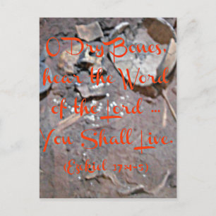 Ezekiel Bible O dry bones Postcard