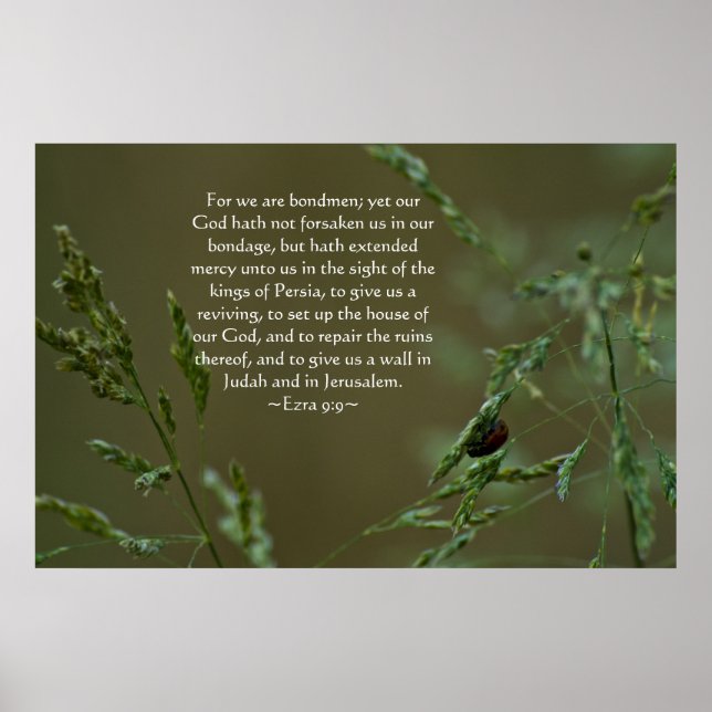 Ezra 9:9 poster (Front)
