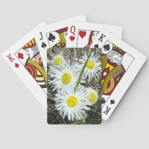 F10 White Wildfowers Tufted Fleabane Playing Cards