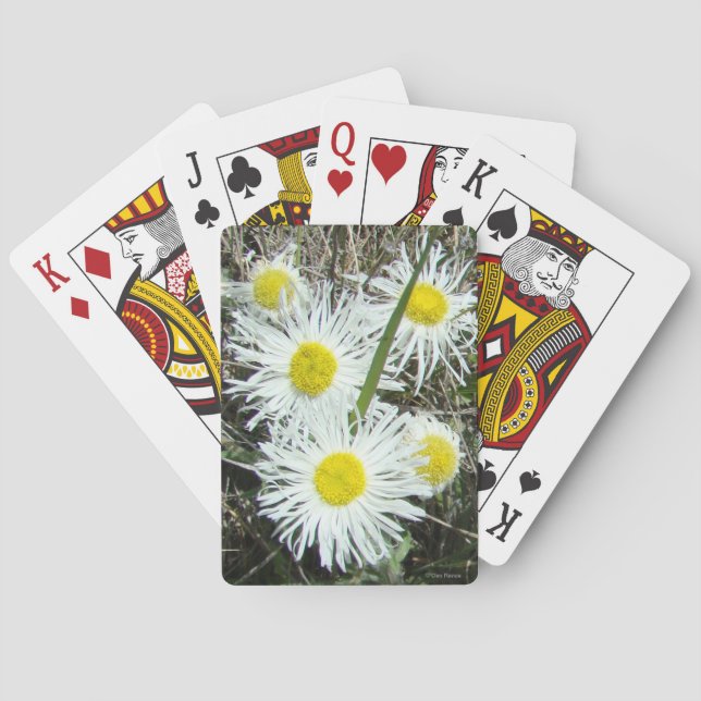 F10 White Wildfowers Tufted Fleabane Playing Cards (Back)