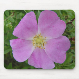 F11 Prairie Wild Rose "Rosa arkansana" Mouse Pad