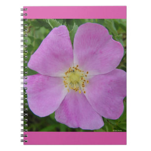 F11 Wild Rose "Rosa arkansana" Notebook
