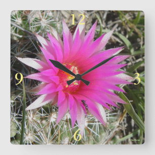 F12 Ball Cactus Flower "Escobaria vivipara" Square Wall Clock