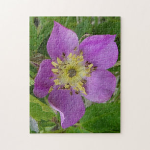F13 Prickley Rose Alberta Wild Rose Jigsaw Puzzle
