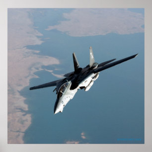 F14 of the Jolly Rodgers Poster