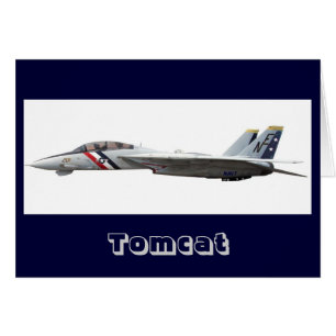 F14, Tomcat